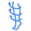 1_LindenthalMedical_icon_compressionstockings Kompressionsstrümpfe